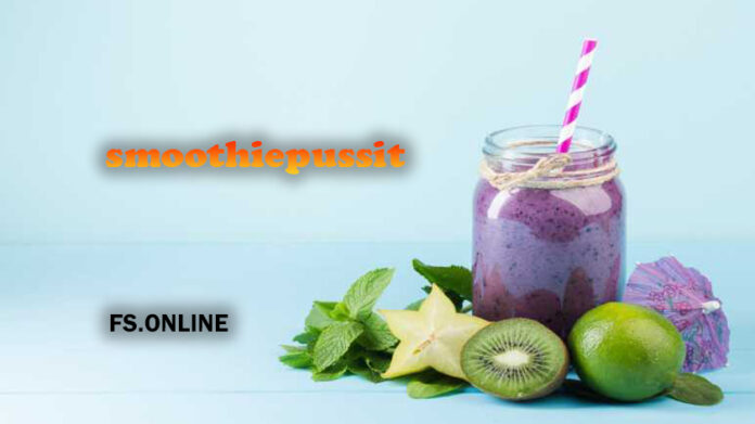 10 Best Smoothiepussit That Actually Work